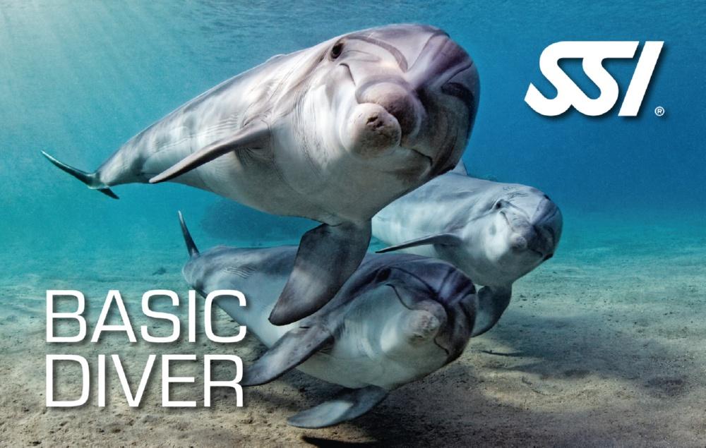 corsi ssi basic diver - scuba revolution sardinia