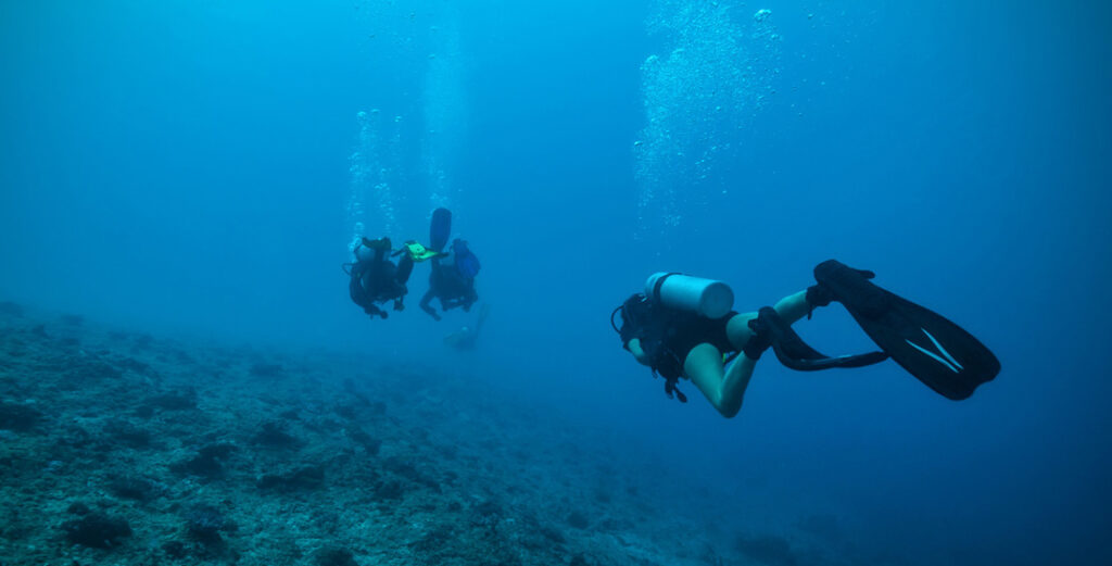 immersioni_scuba_revolution_la_meda_subacquei