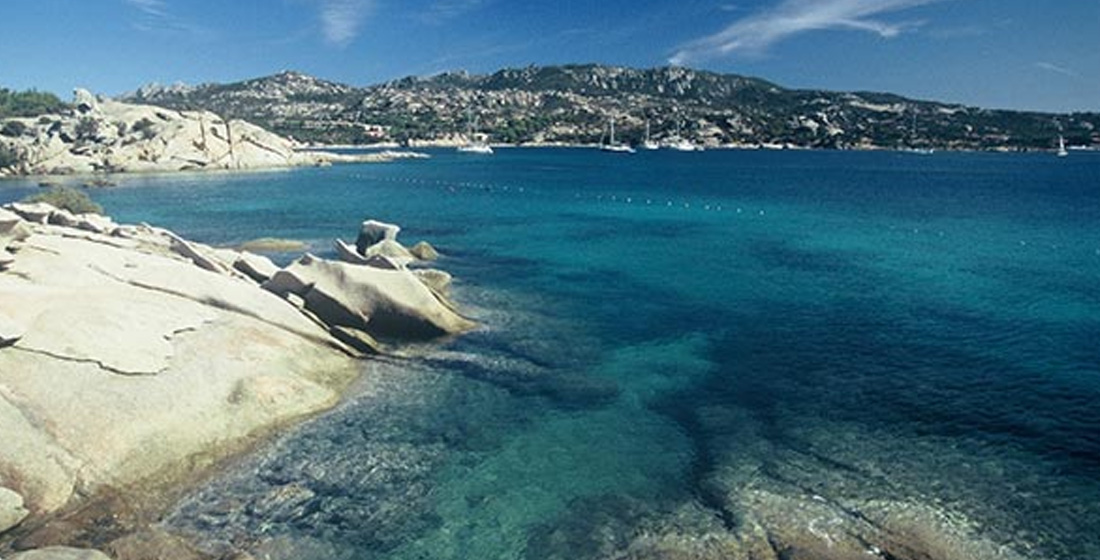 immersioni_scuba_revolution_punta_battistoni_baia_sardinia