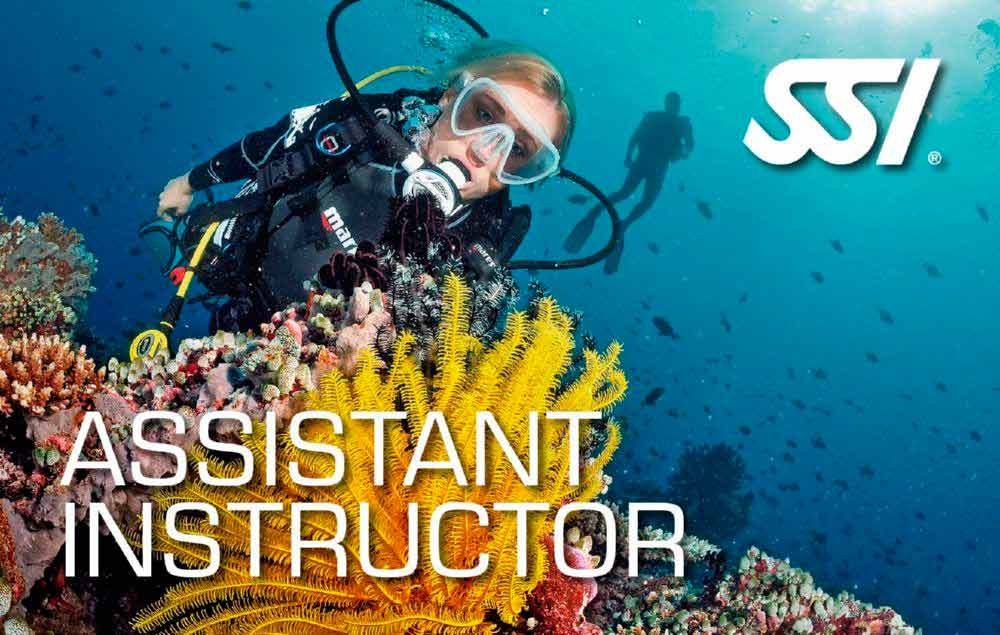corsi ssi professional assistant instructor