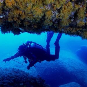 immersioni secca di spargi diving sardinia