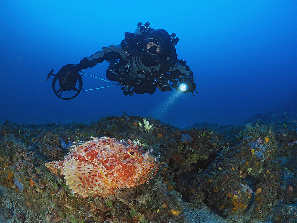 diving scuba revolution sardinia