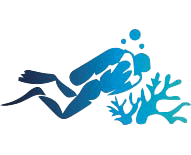 diver_professionista